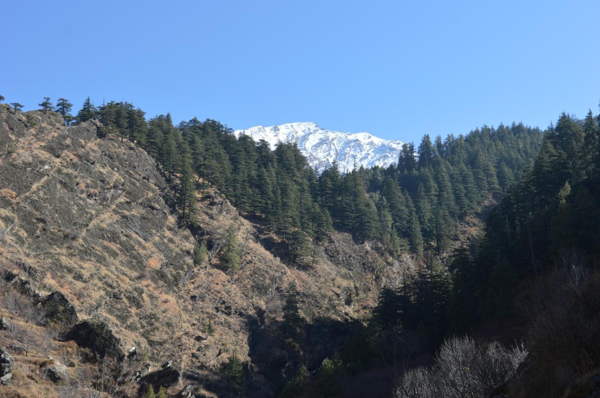 Laxmi Narayan Homestay-Harshil Harsil Exteriér fotografie