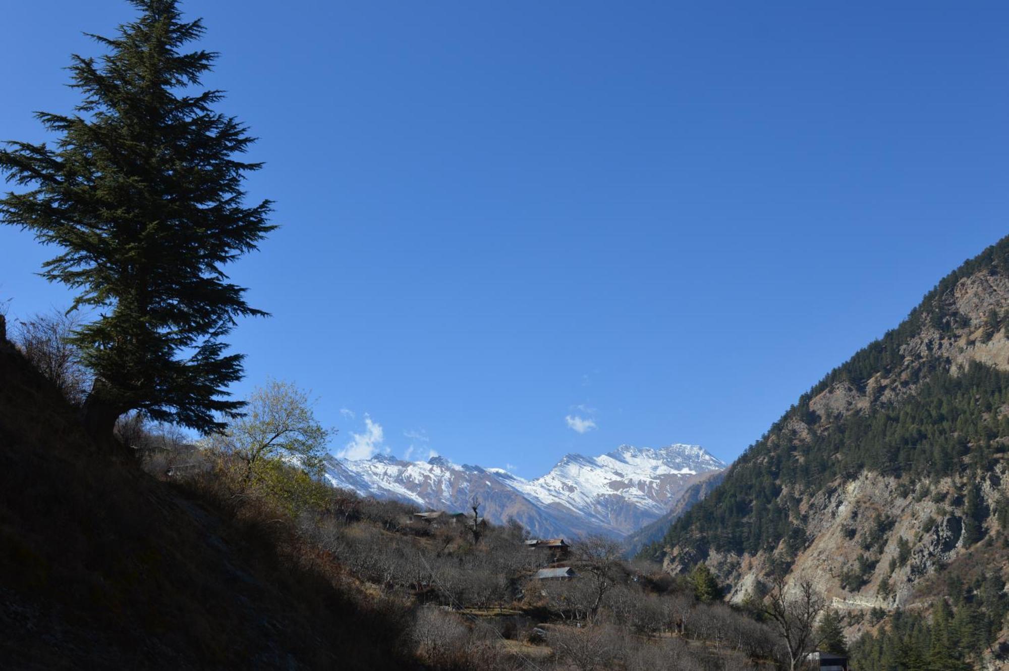 Laxmi Narayan Homestay-Harshil Harsil Exteriér fotografie